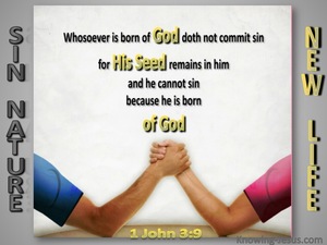 1 John 3:9